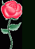 blume09