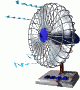 fan