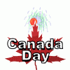 canada_day_fireworks_leaf_md_wht