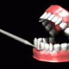 cleaning_teeth_md_blk