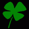 shamrock