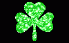 CLOVER