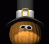 pilgrim_pumpkin_md_clr