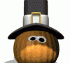 pilgrim_pumpkin_md_wht