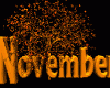 november
