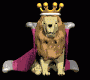 lion_king_look_md_blk