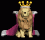 lion_king_look_md_clr