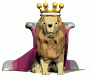 lion_king_look_md_wht