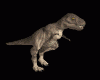 trex_walk_md_blk