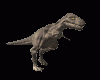 trex_walk_md_clr
