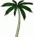 Plamtree