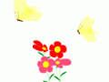 Sbutterfly6