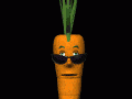 cool_carrot_md_blk