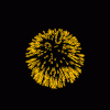 Anim0171