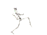 ani-skeleton-160x120.gif