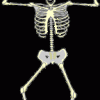ani-skeleton-144x257