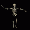 skeleton_dancing_md_blk