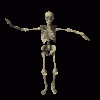 skeleton_dancing_md_clr