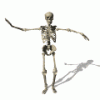 skeleton_dancing_md_wht