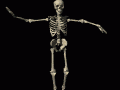 skeleton_dancing_md_blk