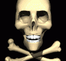 skull_cross_bones_lg_blk