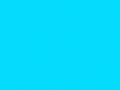 Anim0174