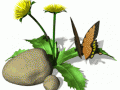 dandilion_butter_hw