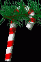 candy_cane_swing_md_clr