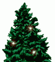 tree-001