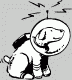 SPACEDOG