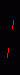Anim0256